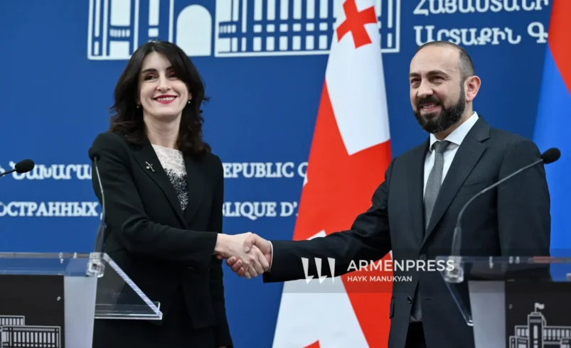 Georgian FM congratulates Armenian counterpart on reappoint