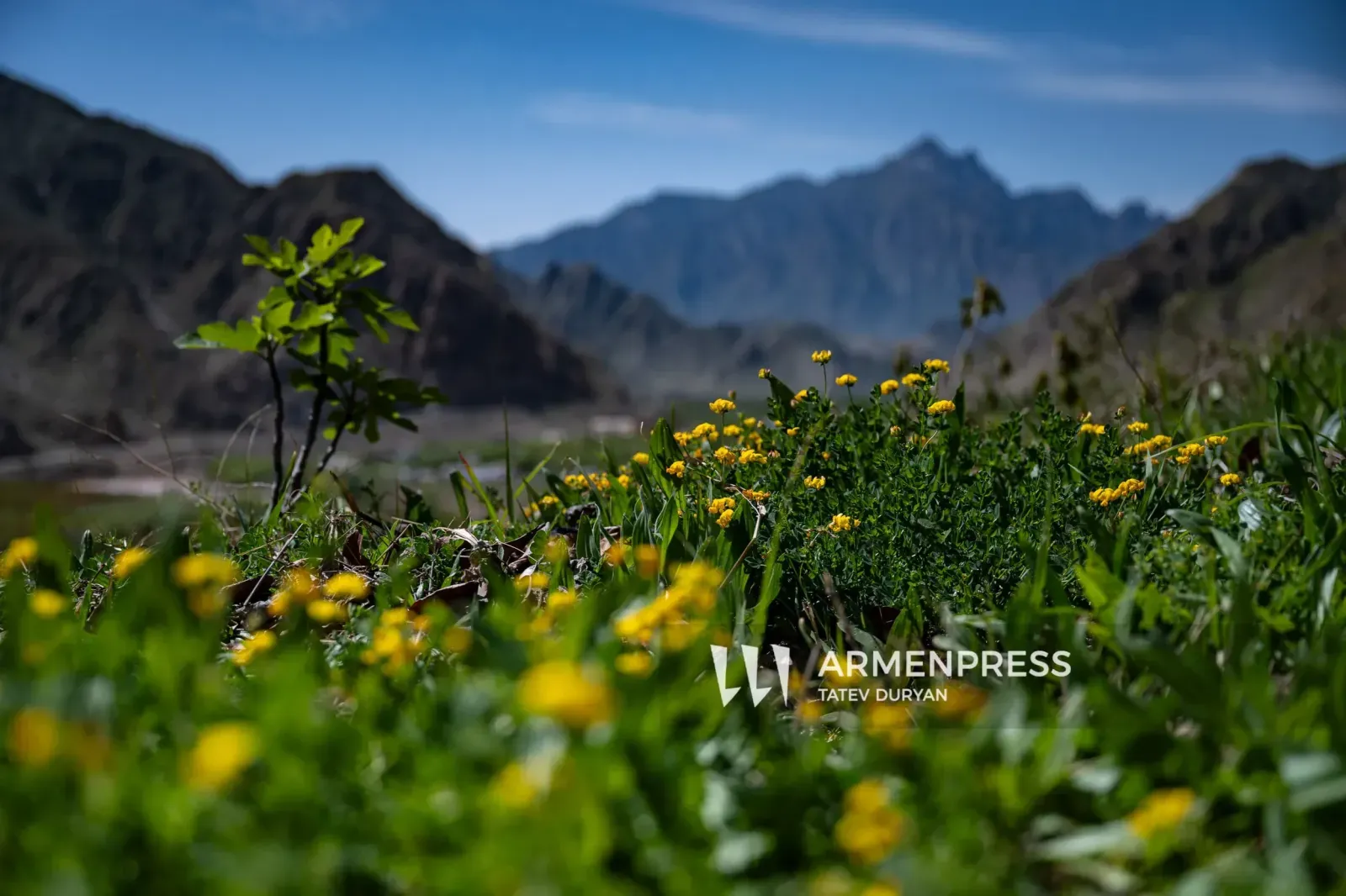 Short-term rains and thunderstorms are expected in Armenia in the coming days. Air temperatures will not change significantly