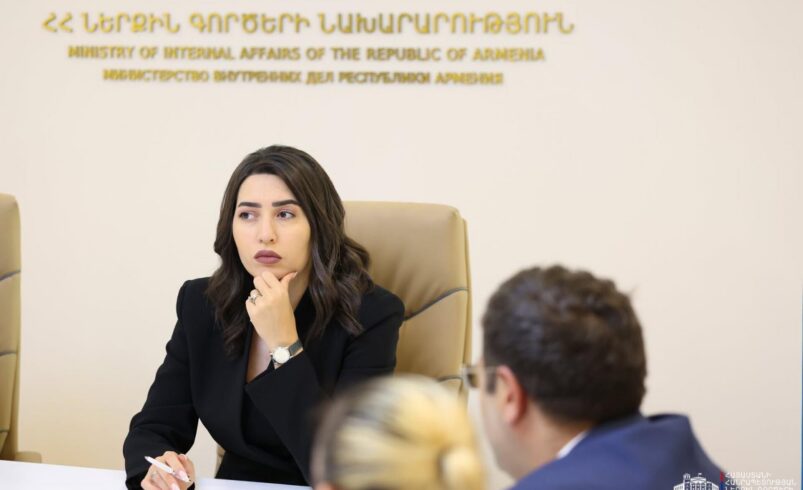 წლის ბოლომდე მიგრაციისა და მოქალაქეობის სამსახურის ყველა მიმართულება ციფრულ ტექნოლოგიებზე გადავა — არპინე სარგსიანი