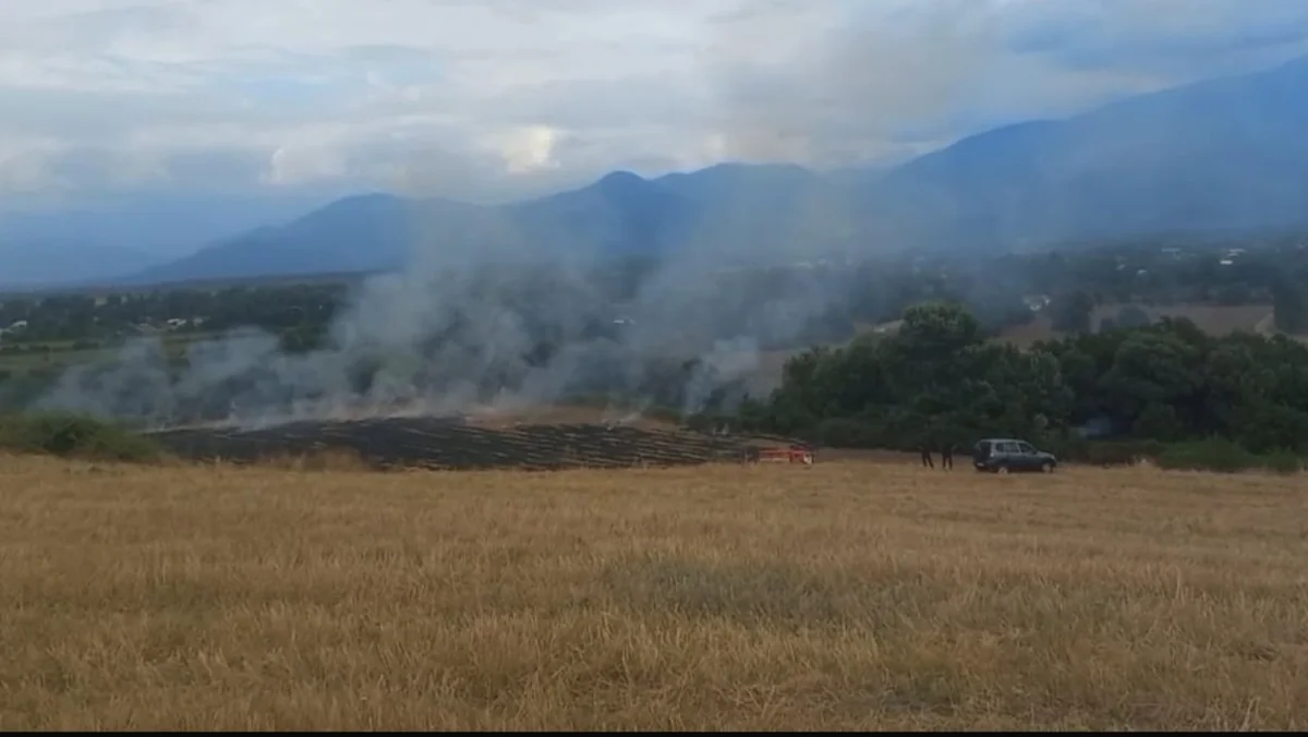 Suspects Detained in Azerbaijan for Allegedly Setting Fire to Nearly 9 Hectares of Grain Fields and Shrubland