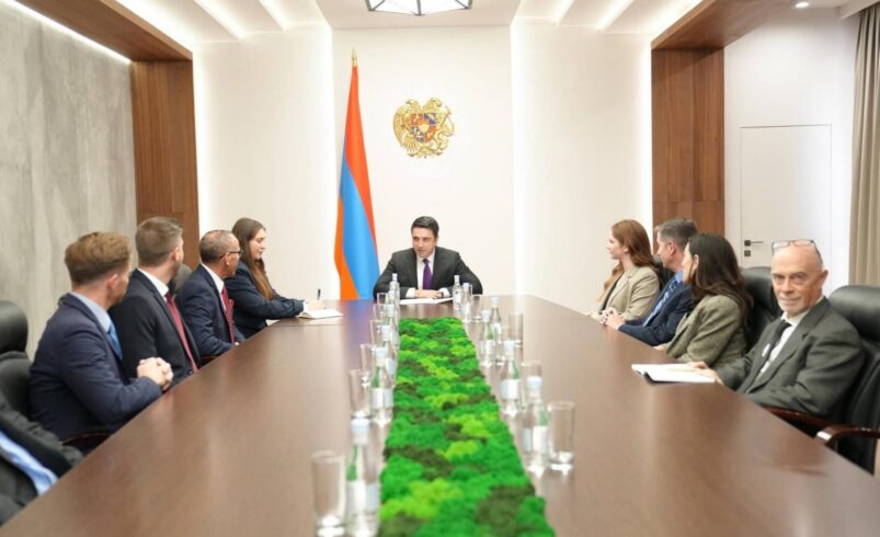 Секретарь СБ Армении и представители организации Save Armenia обсудили вопросы стратегического партнерства Армения-США