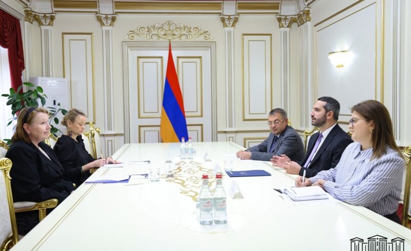 სომხეთის ეროვნული ასამბლეის თავმჯდომარემ და ევროკავშირის სადამკვირვებლო მისიის ხელმძღვანელმა რეგიონული სტაბილურობის უზრუნველყოფის საკითხები განიხილეს