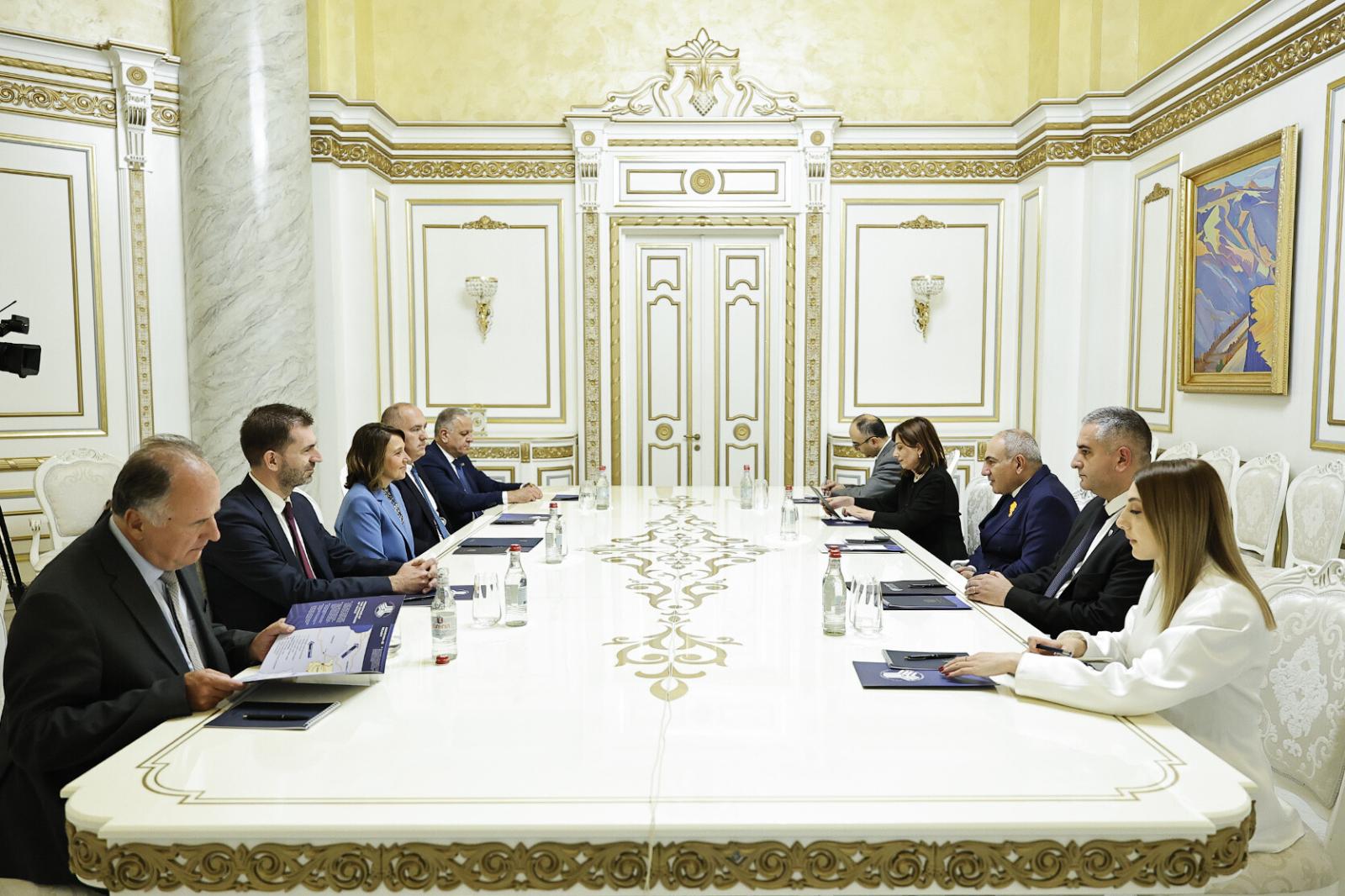 Премьер-министр Пашинян принял министра здравоохранения Хорватии