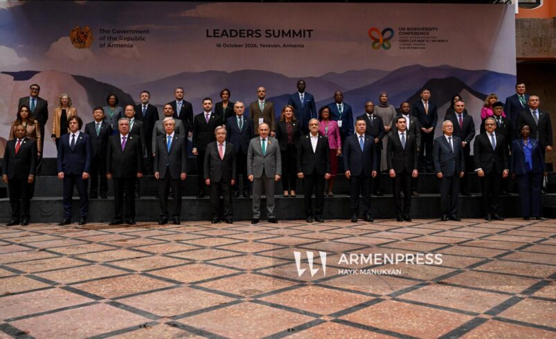 COP17: Yerevan Declaration adopted following leaders’ summit